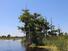 /images/business/9-People recreating on an airboat west of town-900-675_thumbnail.jpg